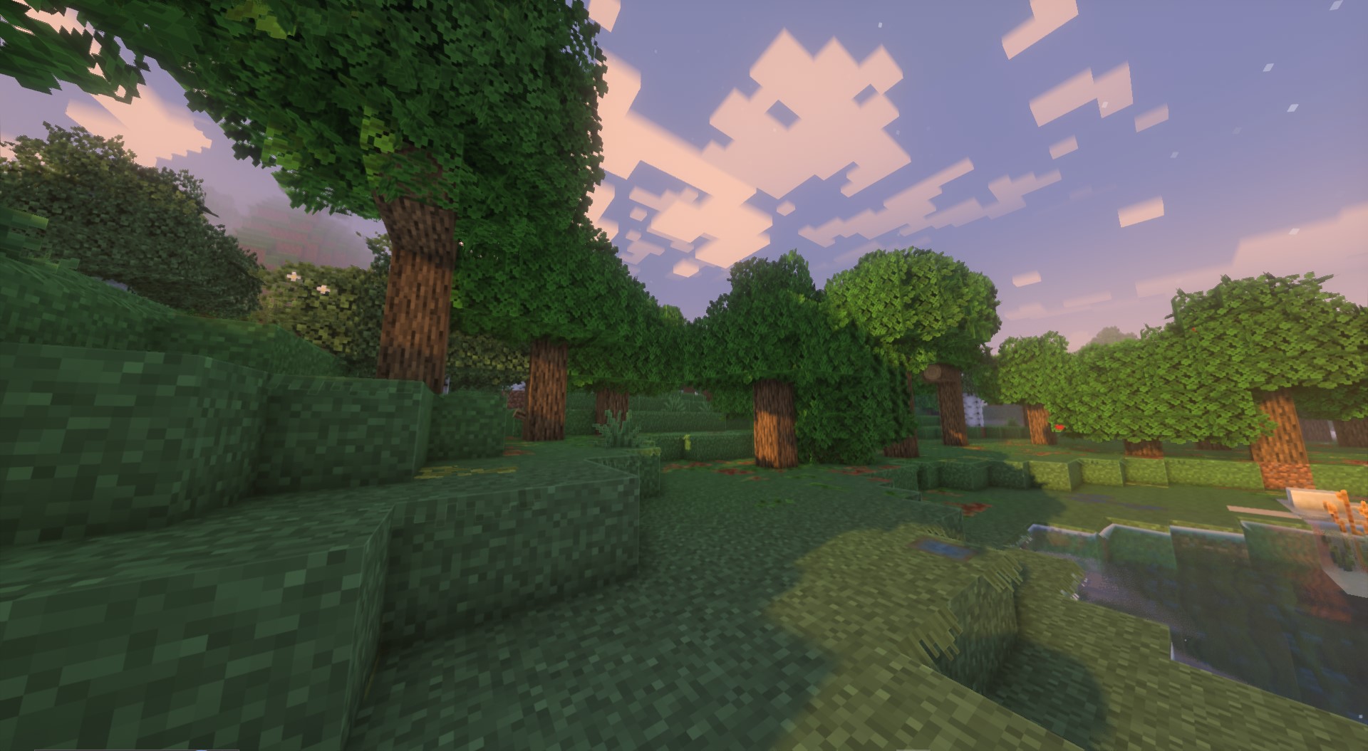Background Forest